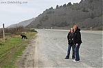 photos